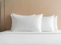 Santa Justa 24 Lisbon Downtown Hotels in 