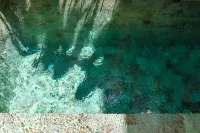 Oasis Smart Villa Hotels in 