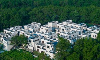 Huangshan Guanzhiyuan Gallery Garden · Huanghuali Wood Antique Collection Hotel