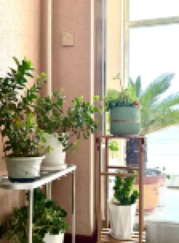 新巴爾虎左旗一家客棧 新巴爾虎左旗酒店