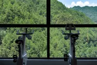 Pine-Shaded Hotel - Gym