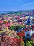 Diyavike Garden Hotel (Bijie Qixingguan District Government) - Romantic