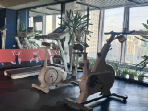 Puyun Cloud Apartments (Foshan Lingnan Tiandi Ancestor Temple Metro Station Branch)