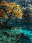 Tuke Qingju Hotel (Jiuzhaigou National Park Eternal Love) - romantis