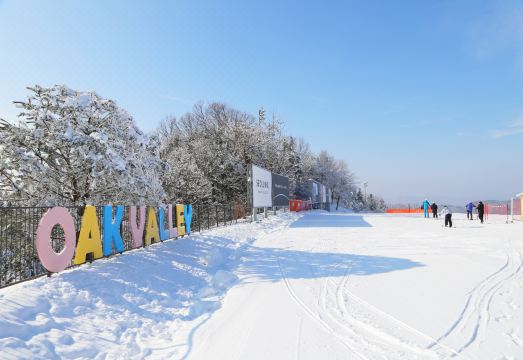 오크밸리 리조트 밸리 빌리지