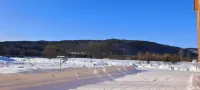 漠河御景山林ホテル（北極村） - マウンテンビュー