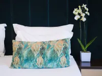 Hotel DAH - Dom Afonso Henriques - Parvekkeita