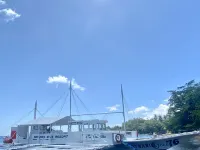 Gracey Dive Resort And Restaurant Hotels in Dauin