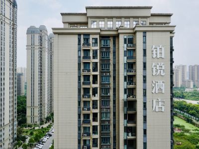 Boray Hotel (Yueyang High-speed Railway East Station)
