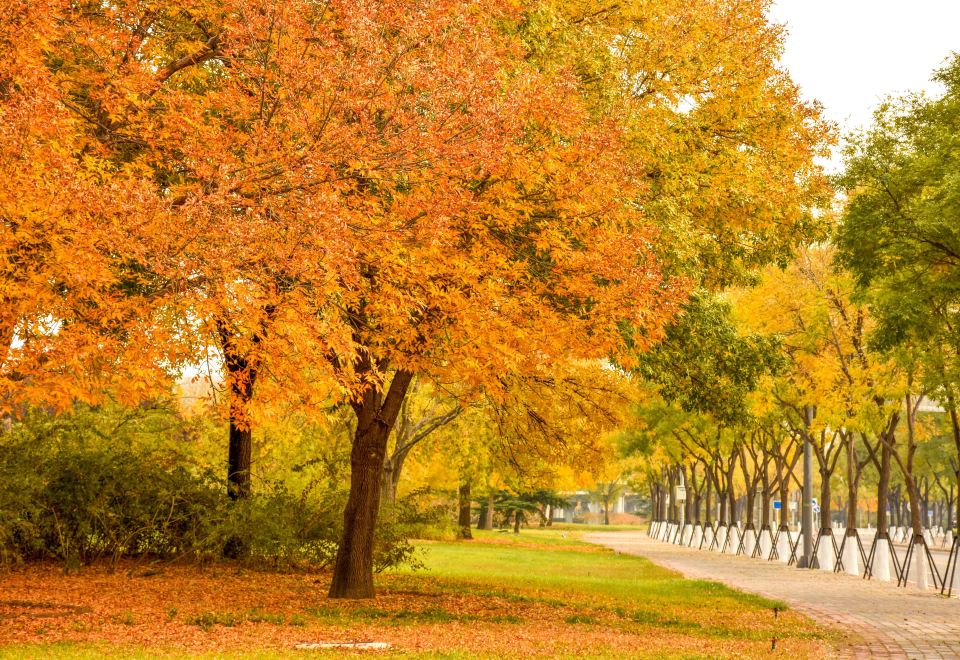 베이징 서우두 공항 둥하이 코디스 호텔