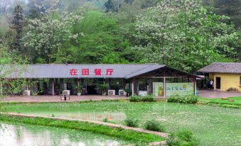 Shuijinshunzhuang Scenic Area Holiday Viewing Villa (Mashan County Guling Town Store)