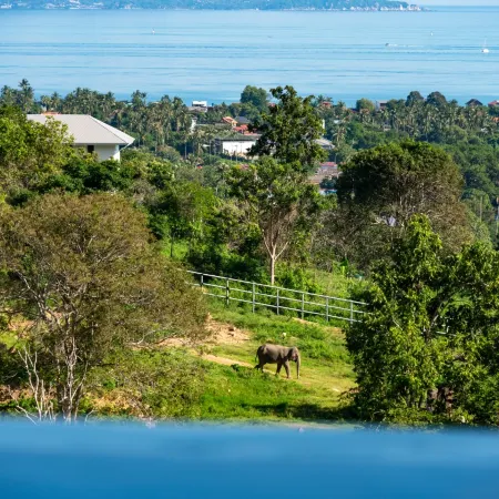 Wild Cottages Elephant Sanctuary Resort
