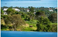 وايلد كوتيدجز إليفانت سانكتواري ريزورت فنادق في كو ساموي