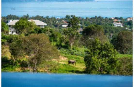 野生小屋大象保護區度假村