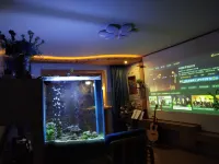 liesurely rome Hotels in Yangquan