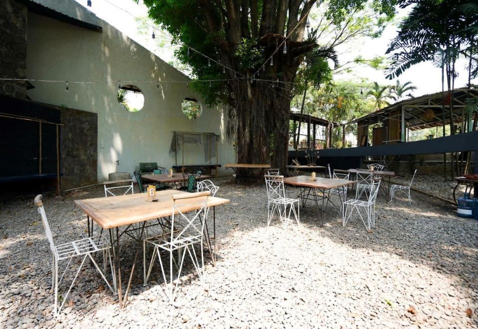 1. 그랜드 물리아 ..