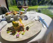 Domaine Ribiera, Hotel 5 Etoiles, Spa & Golf - Forcalquier Hotels in Forcalquier