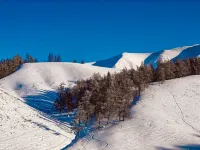 白哈巴閱山墅精品民宿（白哈巴村北村店）