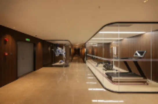 Ritz MAX Hotel (Hefei Wangjiang West Road Innovation Industrial Park Branch)