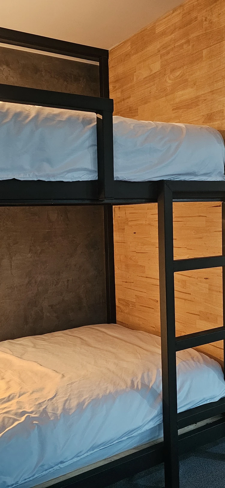 รูปภาพของบ้านรังนก The Bird Nest Homestay & Coffee Shop