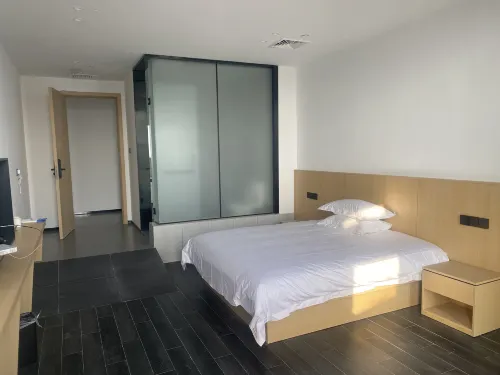 Xingji Scenic Homestay (Deqing West Station) - 2 Sao