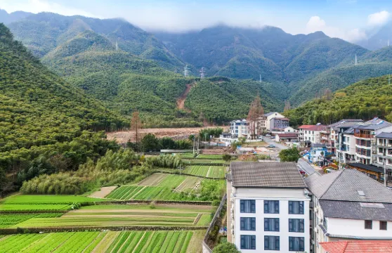 安吉依竹軒（大竹海店）