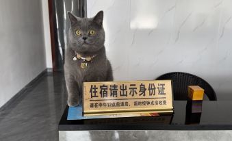 Tengmai Hotel (Hefei Xinqiao International Airport)