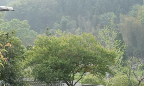 Wuyou Stayhill Resort