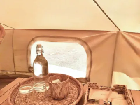 The Survival by Seudam 沽島酒店