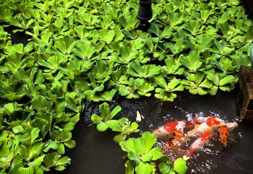 객실 내부 이미지