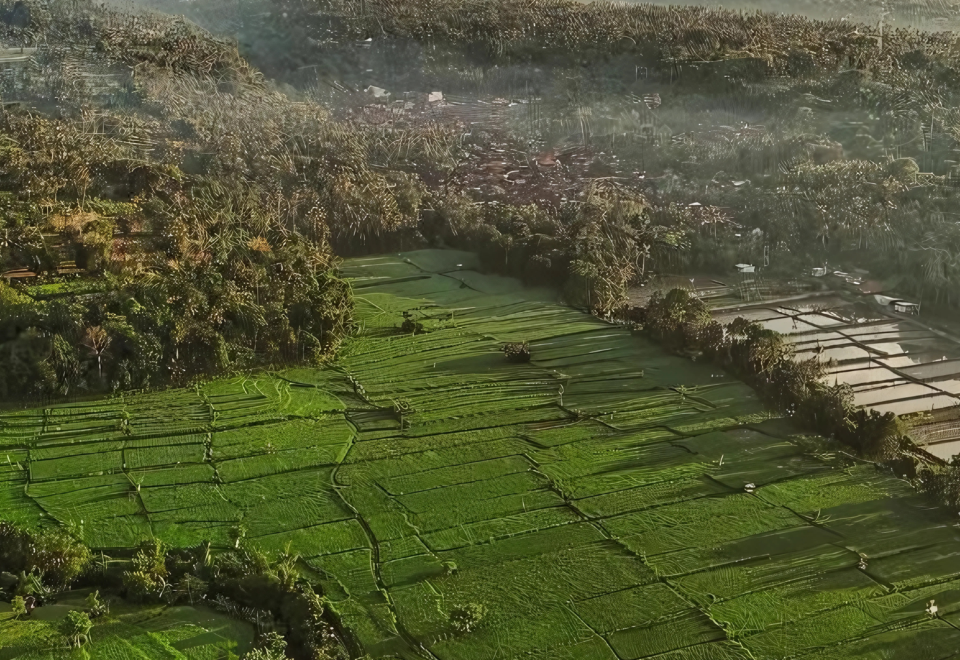 아메드 카페 앤드 호텔 케분 와얀 조식