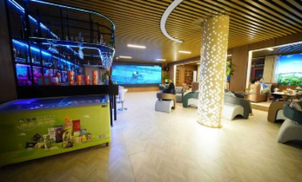 Old Youth · Tomorrow International Youth Hostel (Jinan Daming Lake Railway Station Chaoran Building)