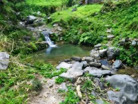 Qiaohe Yangxingu Homestay Hotels in Changyang Tujia Autonomous County
