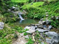 Qiaohe Yangxingu Homestay
