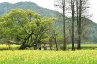 Wild Clay Cottage - vue sur la montagne