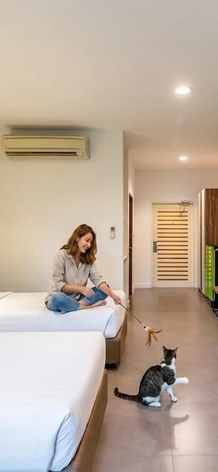 Deluxe Pet Friendly Room