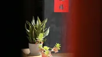 Qiaoju Ancient B&B, Shuitou, Kinmen - 4-Star