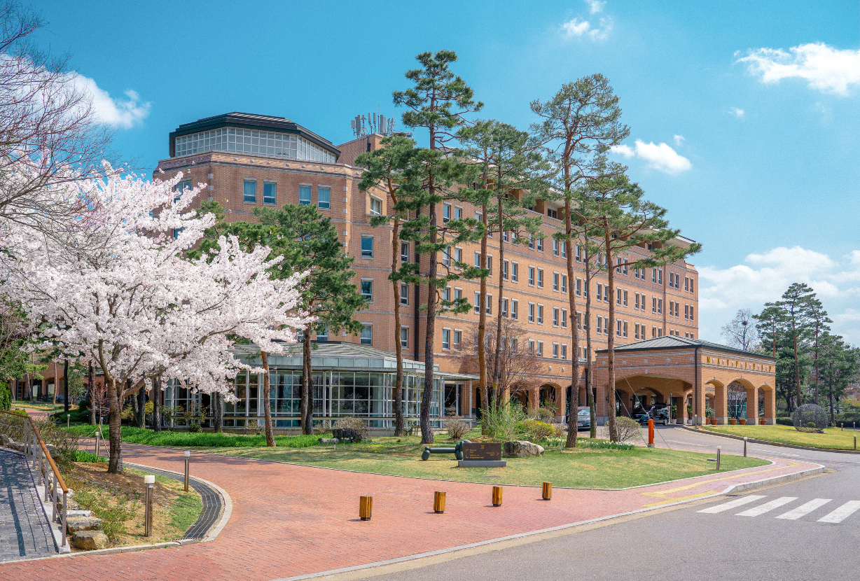 Mayfield Hotel Seoul Hotels in Seoul