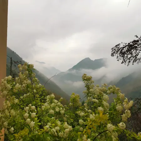 Yuyinchaping Homestay