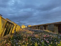 Xingsu Grassland Starry Sky Inn Các khách sạn ở 
