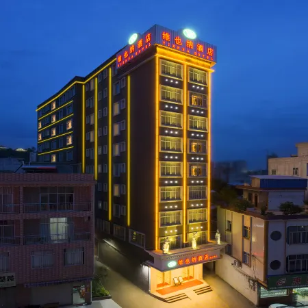 Vienna Hotel (Pingnan Central Plaza store)