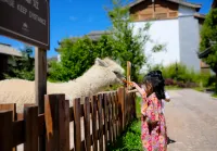 Jinmao Purelax Lijiang, The Unbound Collection By HYATT - Træningscentre
