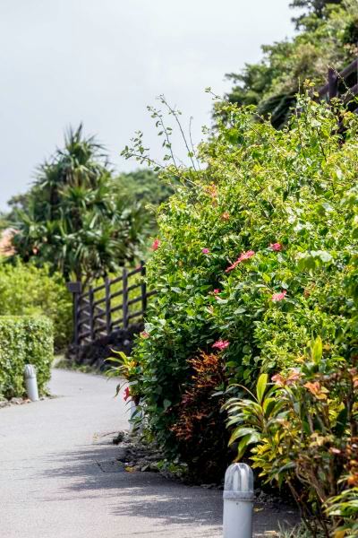 共有エリア クラブメッド 石垣島の写真