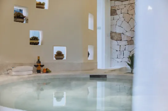 PALMETTO·Pool·Pampered Garden Meisu