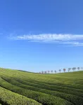 Qihao Jidi · Chanyuan