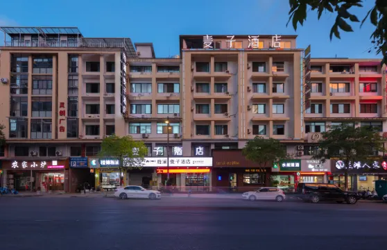 雅瀾·麥子智能酒店（遂昌客運中心店）