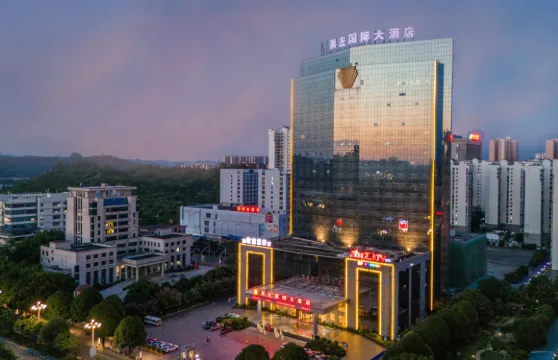 崇左國際大酒店（高鐵站市政府店）