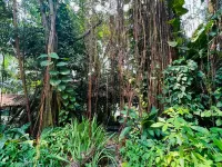 海景一房一衛4人高級公寓森林城市 1E-901 鄰近森林城市的酒店