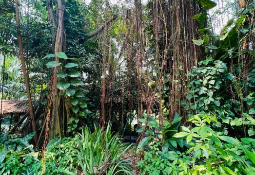 Seaview 1B1R 4pax condo Forest City 1E-901