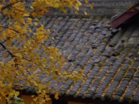 Tranquil Maple Residence Embracing Nature View Resort โรงแรมในปี้เจี๋ย